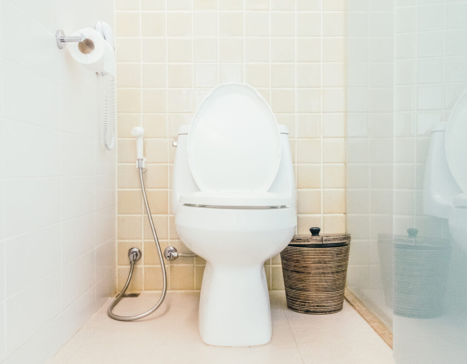 Toilet